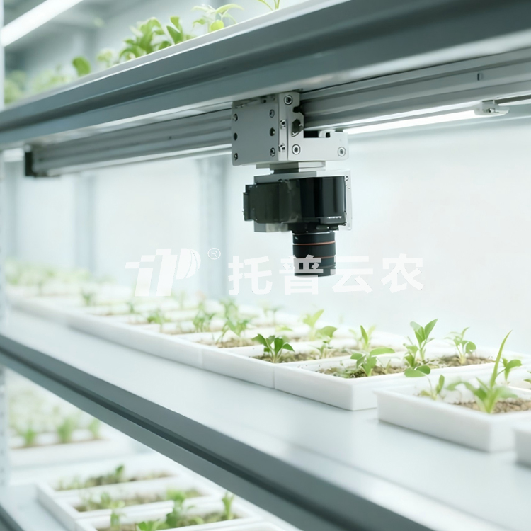 人工氣候室植物表型監(jiān)測(cè)系統(tǒng)TP-PlantPhy